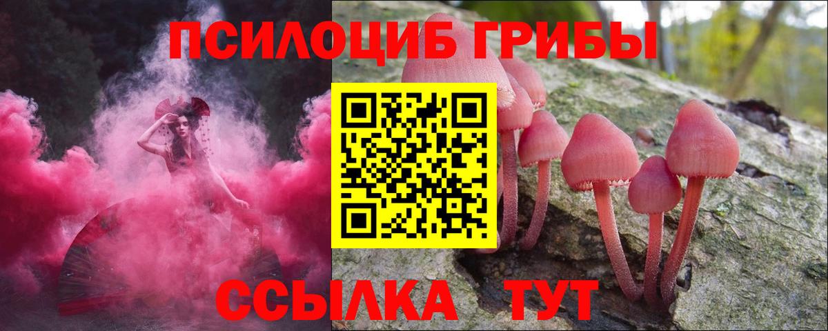 Ейск  Псилоцибиновые грибы Psilocybine cubensis  Вход с VPN 